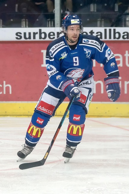 体育已成为 体育已成为